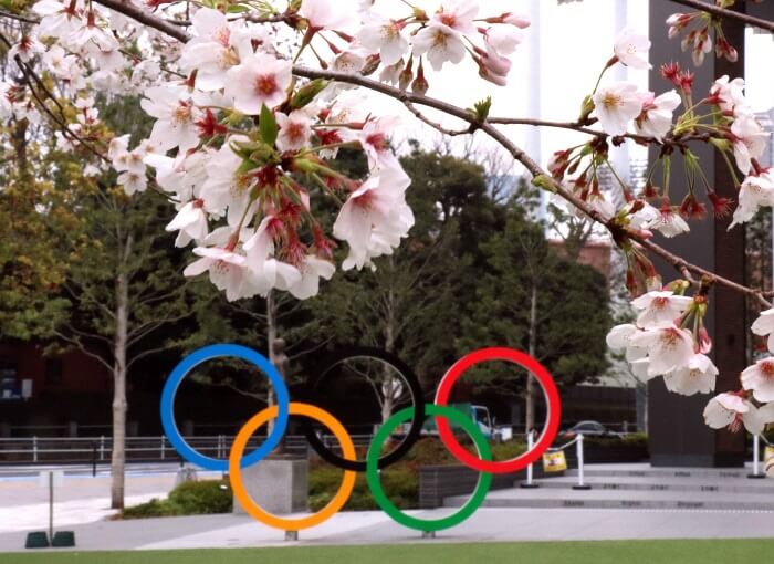 cerisier-anneaux-olympiques-tokyo