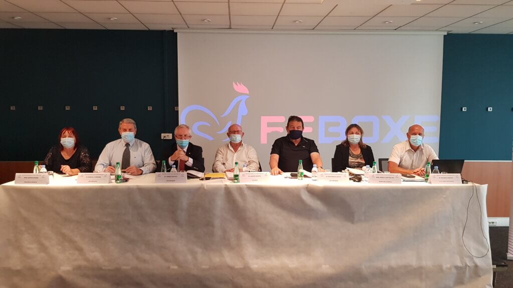 AG ff boxe bureau directeur federation française