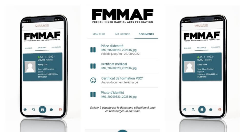 application prise licence mma fmmaf federation française de boxe mma mixed martial arts