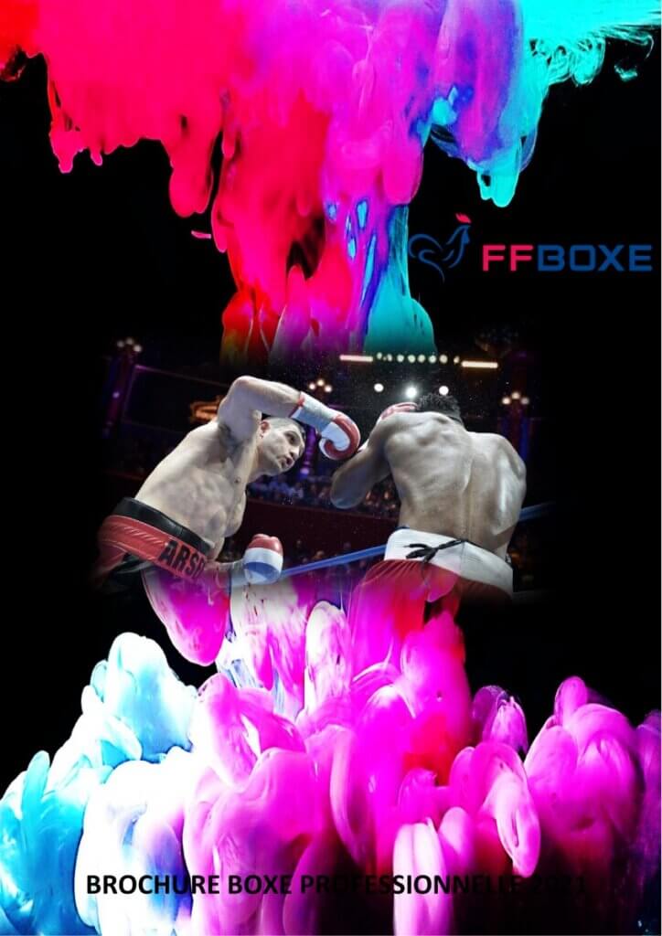 couverture encyclopédie boxe professionnelle ffb federation francaise de boxe